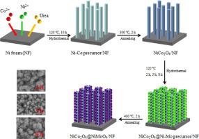 Tuning The Morphology And Size Of NiMoO4 Nanosheets Anchored On NiCo2O4 ...