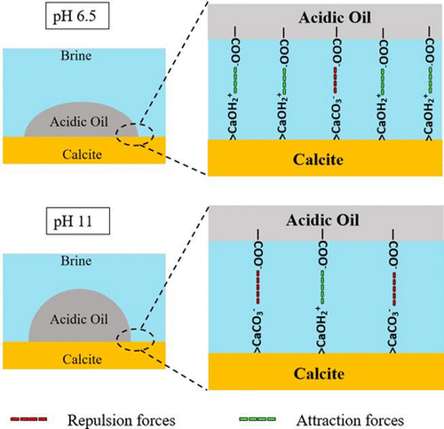 Influence Of Ph On Acidic Oil Brine Carbonate Adhesion Using Atomic Force Microscopy Energy Fuels X Mol