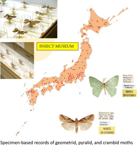 Specimen‐based records of geometrid, pyralid and crambid moths