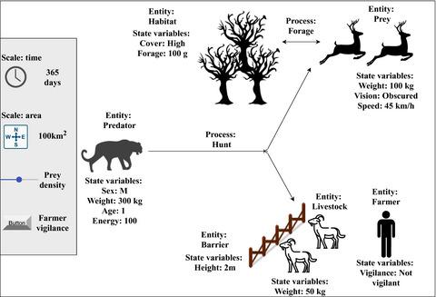 基于代理的模型的介绍 可以作为基于实地的研究和教学的替代方法 Ecology And Evolution X Mol