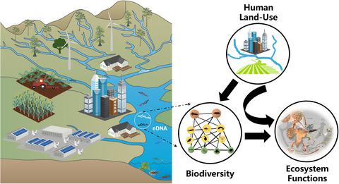 Human Activities' Fingerprint On Multitrophic Biodiversity And ...