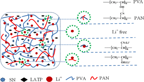 Composite Polymer Electrolytes Based on PVA/PAN for All-Solid 