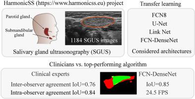 Deep Learning Segmentation Of Primary Sjogren S Syndrome Affected Salivary Glands From Ultrasonography Images Computers In Biology And Medicine X Mol