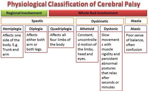Cerebral Palsy Etiology Pathophysiology And Therapeutic Interventions Clinical And Experimental Pharmacology And Physiology X Mol