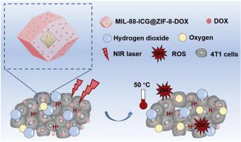 Tailored Core‒shell Dual Metal–organic Frameworks As A Versatile ...