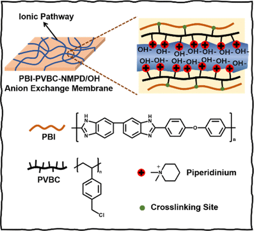 Piperidinium Functionalized Poly Vinylbenzyl Chloride Cross Linked By Polybenzimidazole As An Anion Exchange Membrane With A Continuous Ionic Transport Pathway Industrial Engineering Chemistry Research X Mol