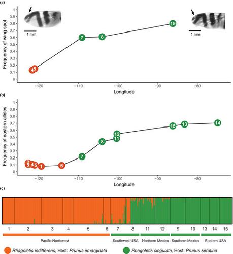 Evidence for spatial clines and mixed geographic modes of