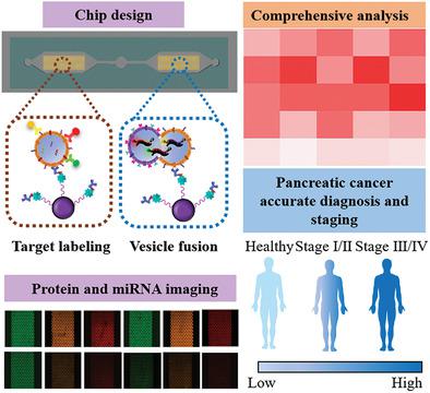 Accurate Cancer Diagnosis and Stage Monitoring Enabled by Comprehensive ...