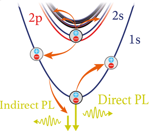 Microscopic Picture Of Electronphonon Interaction In Two Dimensional Halide Perovskitesthe 7546