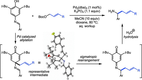 Formal A Allylation Of Primary Amines By A Dearomative Palladium Catalyzed Umpolung Allylation Of N Aryloxy Imines The Journal Of Organic Chemistry X Mol