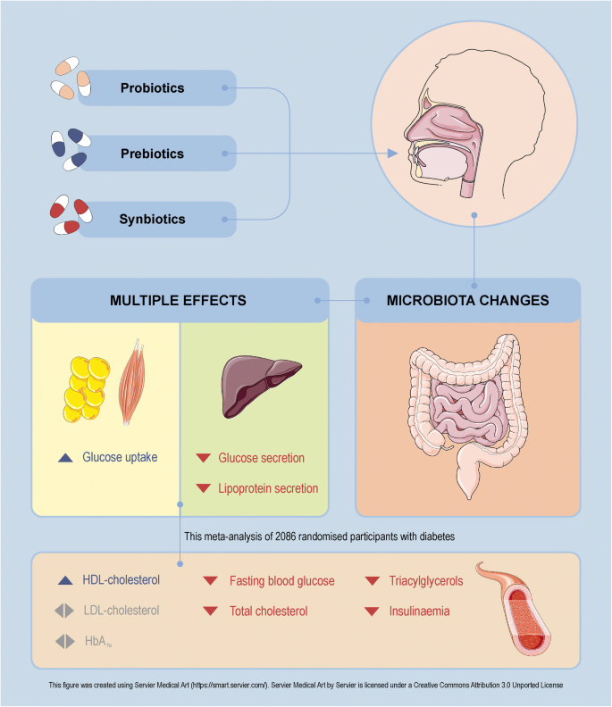 The Effect Of Probiotics, Prebiotics Or Synbiotics On Metabolic ...