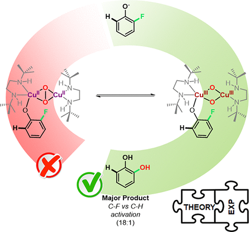 Mechanistic Insights Into The Ortho Defluorination Hydroxylation Of 2 Halophenolates Promoted By A Bis M Oxo Dicopper Iii Complex Inorganic Chemistry X Mol