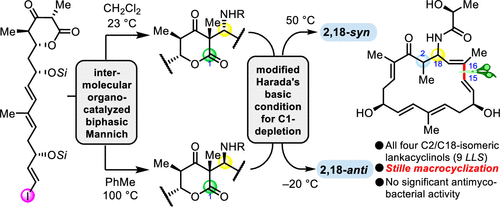 Stereodivergent Synthesis Of Lankacyclinol And Its C2 C18 Congeners Enabled By A Bioinspired Mannich Reaction The Journal Of Organic Chemistry X Mol