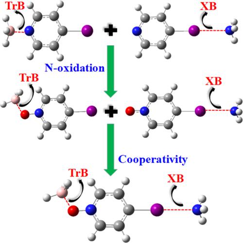 Cooperative Effects Between Triel And Halogen Bonds In Complexes Of ...