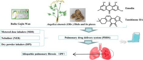 中药结合肺部药物输送系统和特发性肺纤维化的理论基础和治疗潜力 Biomedicine Pharmacotherapy X Mol