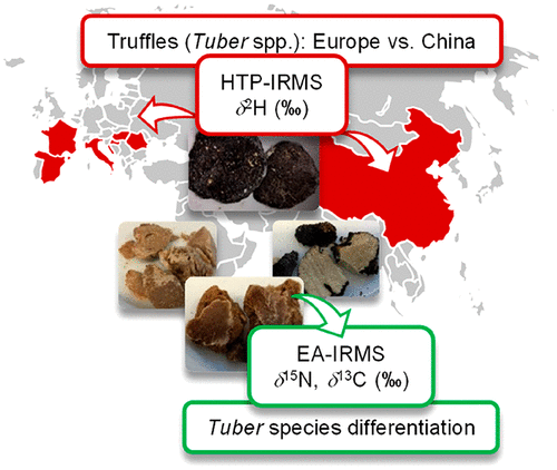 Geographical And Species Differentiation Of Truffles Tuber Spp By Means Of Stable Isotope Ratio Analysis Of Light Elements H C And N Journal Of Agricultural And Food Chemistry X Mol
