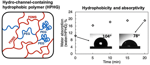 Hydrochannel Containing Hydrophobic Polymers By Inverse Emulsion Polymerization For Moisture Driven Actuators Acs Applied Materials Interfaces X Mol