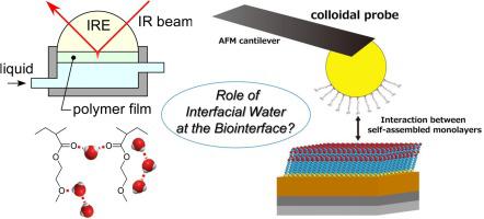 Role Of Interfacial Water In Determining The Interactions Of Proteins And Cells With Hydrated Materials Colloids And Surfaces B Biointerfaces X Mol