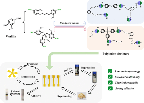 Synthesis Of Vanillin-Based Polyimine Vitrimers With Excellent ...