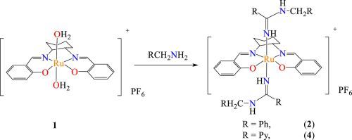 Synthesis And Crystal Structures Of Arylamidine Ru Iii Compounds Containing A Tetradentate Schiff Base Ligand From A Amine Amine Coupling Reaction Inorganic Chemistry Communications X Mol