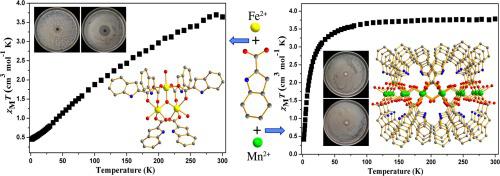 基于吲哚羧酸的三核铁簇和层状锰配合物具有磁性和抗菌性 Inorganic Chemistry Communications X Mol