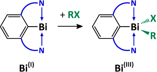 Probing The Limits Of Oxidative Addition Of C Sp3 X Bonds Toward Selected N C N Chelated Bismuth I Compounds Organometallics X Mol