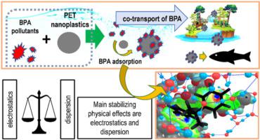 Elucidating The Co Transport Of Bisphenol A With Polyethylene Terephthalate Pet Nanoplastics A Theoretical Study Of The Adsorption Mechanism Environmental Pollution X Mol