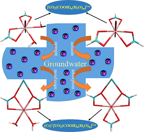 Actinyl Carboxylate Complexes Ano2 Cooh N H2o M 2 N An U Np Pu And Am N 1 3 M 0 2 4 2n M 6 Electronic Structures Interaction Features And The Potential To Adsorbents