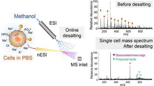 High Throughput Single Cell Immunoassay In The Cellular Native Environment Using Online 3463