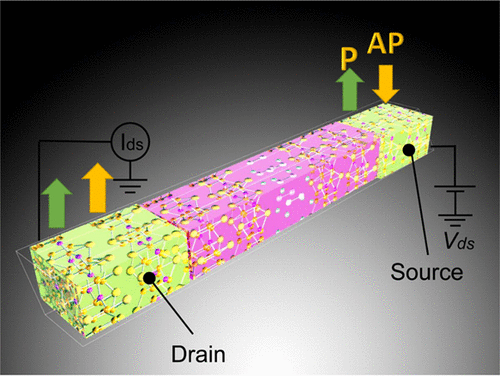 Perfect Spin Filtering Effect On Fe3GeTe2-Based Van Der Waals Magnetic ...