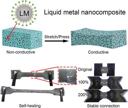 Highly Stretchable And Biocompatible Liquid Metal‐Elastomer Conductors ...