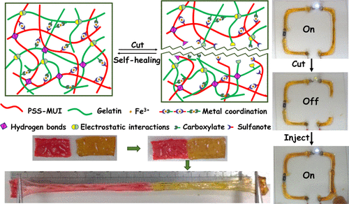 Processable, Ion-Conducting Hydrogel For Flexible Electronic Devices ...