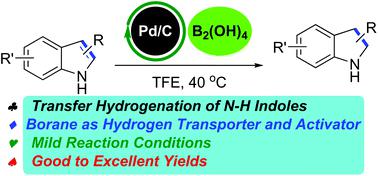 Pd C Catalyzed Transfer Hydrogenation Of N H Indoles With Trifluoroethanol And Tetrahydroxydiboron As The Hydrogen Source Organic Biomolecular Chemistry X Mol