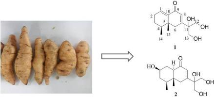 Two New Eremophilane-type Sesquiterpenes From The Fresh Roots Of ...