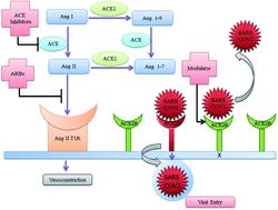 ACE2 作为COVID-19 大流行的潜在治疗靶点,RSC Advances - X-MOL