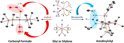 Reactions Of Manganese Silyl And Silylene Complexes With Co2 And C Nipr 2 Synthesis Of Mn I Formate And Amidinylsilyl Complexes Organometallics X Mol