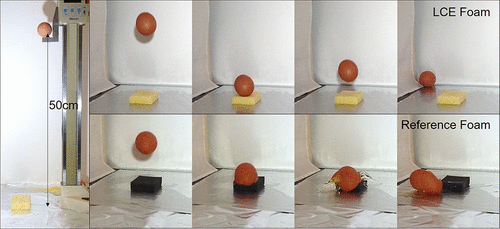 液晶弹性体泡沫的3d打印以增强机械损伤下的能量耗散 Acs Applied Materials Interfaces X Mol