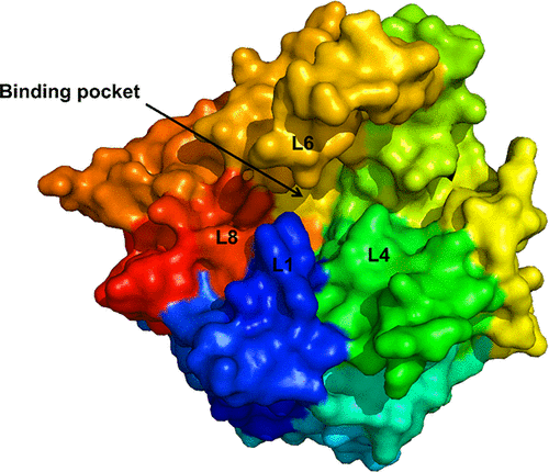 X-ray Structure, Bioinformatics Analysis, And Substrate Specificity Of ...