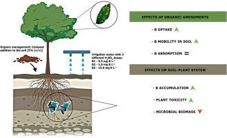 硼和有机物对植物 土壤微生物关系的交互影响 Journal Of Hazardous Materials X Mol