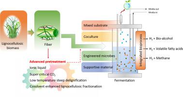 Renewable Biohydrogen Production From Lignocellulosic Biomass Using ...