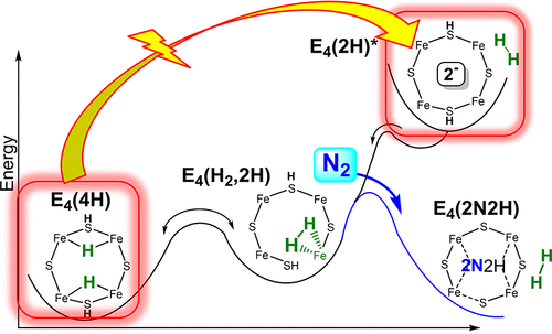 Electron Redistribution Within The Nitrogenase Active Site Femo Cofactor During Reductive Elimination Of H2 To Achieve N N Triple Bond Activation Journal Of The American Chemical Society X Mol