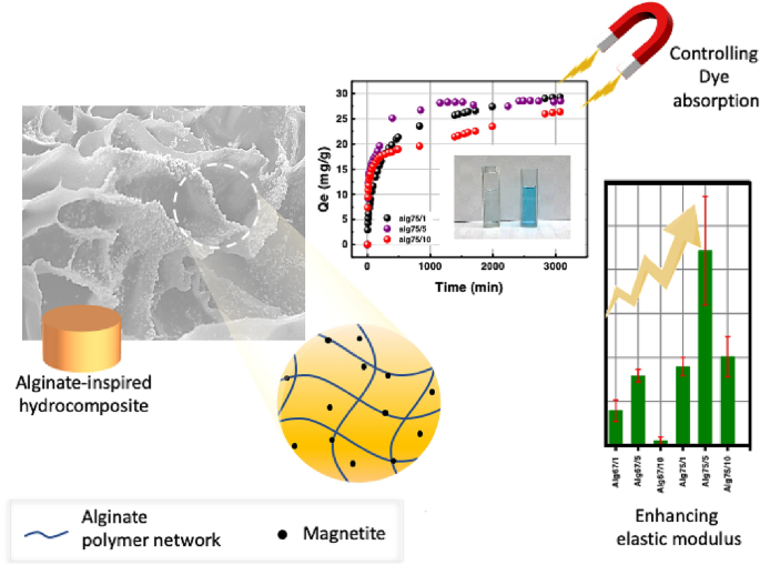 Synthesis of Dual-Responsive Alginate-Inspired Hydrocomposites for the