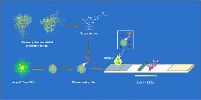 Fluorescent Lateral Flow Immunoassay Based On Gold Nanocluster For Detection Of Pyrrolizidine 6187