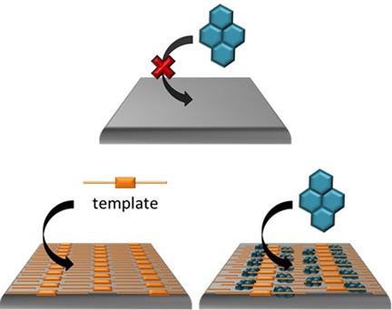 Stepwise Physisorption Of Alkoxy Pyrene Derivatives Onto A Lamellar Non Porous Naphthalenediimide Template On Hopg Chemistry A European Journal X Mol