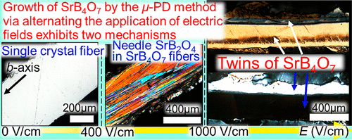 Effects Of The Application Of Electric Fields On The Growth Of Srb4o7 Crystals By The Micro Pulling Down Method Crystal Growth Design X Mol