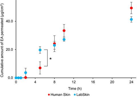 A Comparison Of The In Vitro Permeation Of 3 O Ethyl L Ascorbic Acid In Human Skin And In A Living Skin Equivalent Labskin International Journal Of Cosmetic Science X Mol