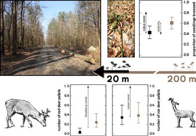 Factors Affecting Deer Pressure On Forest Regeneration The Roles Of Forest Roads Visibility And Forage Availability Pest Management Science X Mol