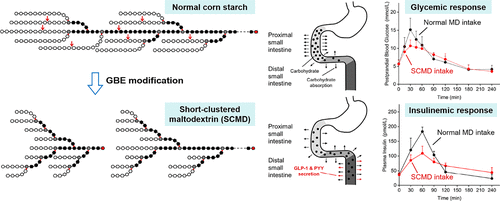 An Innovative Short Clustered Maltodextrin As Starch Substitute For Ameliorating Postprandial Glucose Homeostasis Journal Of Agricultural And Food Chemistry X Mol