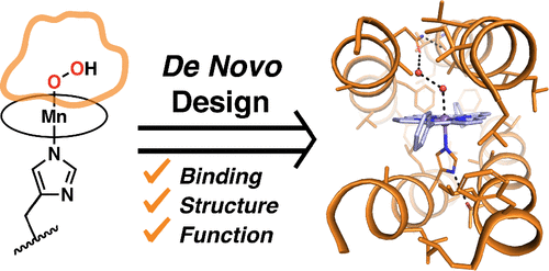 De Novo Design, Solution Characterization, And Crystallographic ...