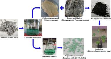 将湿的蓝色皮革和马铃薯皮转变成一种生态友好的生物有机npk肥料 以增强作物的生产力并获取增值的可循环利用的铬盐 Journal Of Hazardous Materials X Mol